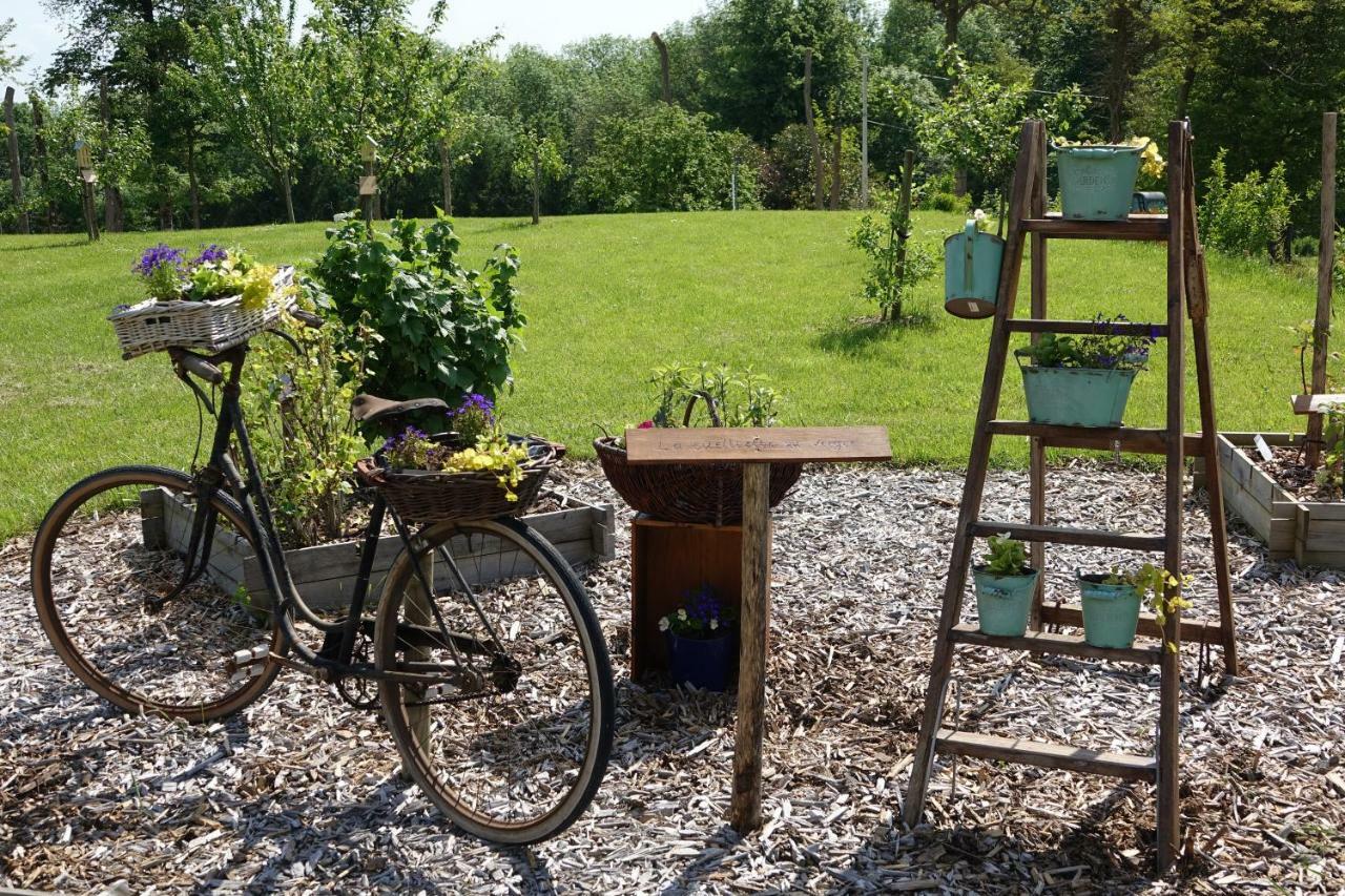 Le Manoir Des Aromes Otel Brugny-Vaudancourt Dış mekan fotoğraf